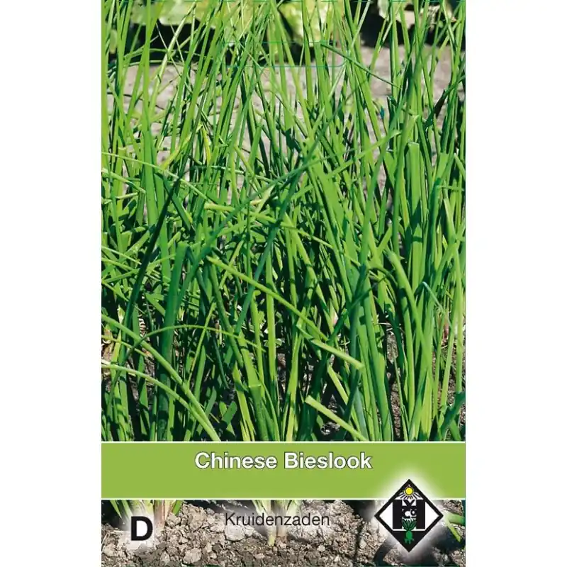 Chinese Bieslook / Allium tuberosum -zaden- - Opruiming