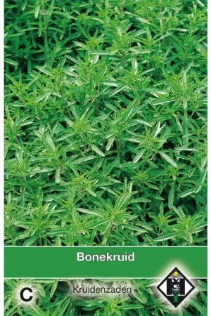 Zojuist toegevoegd - Bonekruid / Satureja hortensis -zaden-