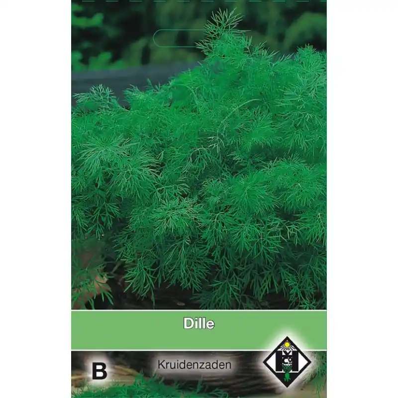 Dille / Anethum graveolens -zaden- | Nieuw in het assortiment