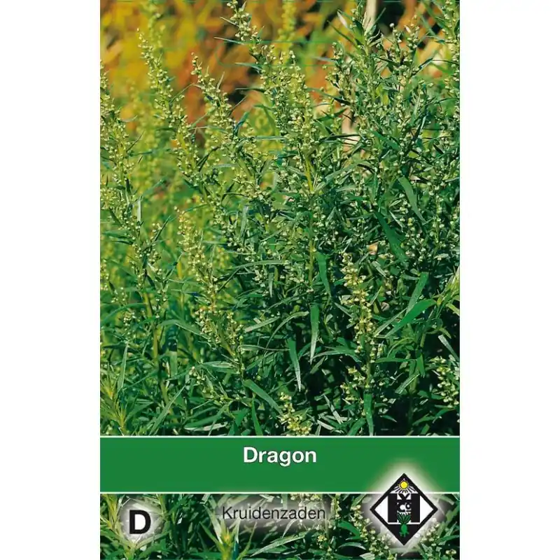 Direct van de fabrikant | Dragon / Artemisia dracunculus -zaden-