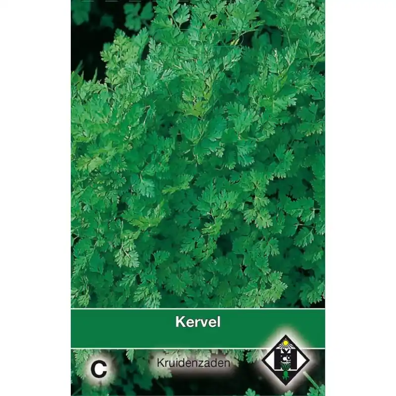 Kervel / Anthriscus cerefolium -zaden- | Topkwaliteit