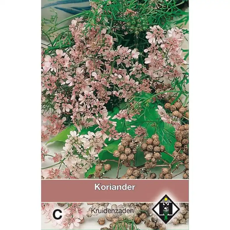 Rechtstreeks uit de fabriek | Koriander / Coriandrum sativum -zaden-
