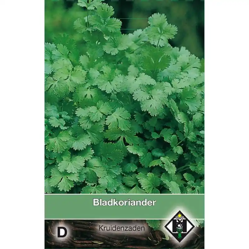 Bladkoriander / Coriandrum sativum -zaden- | Gratis retourneren