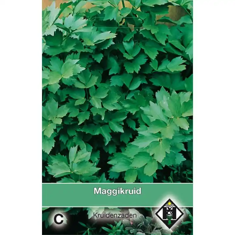 Lavas, Maggikruid / Levisticum officinale -zaden- | Extra korting