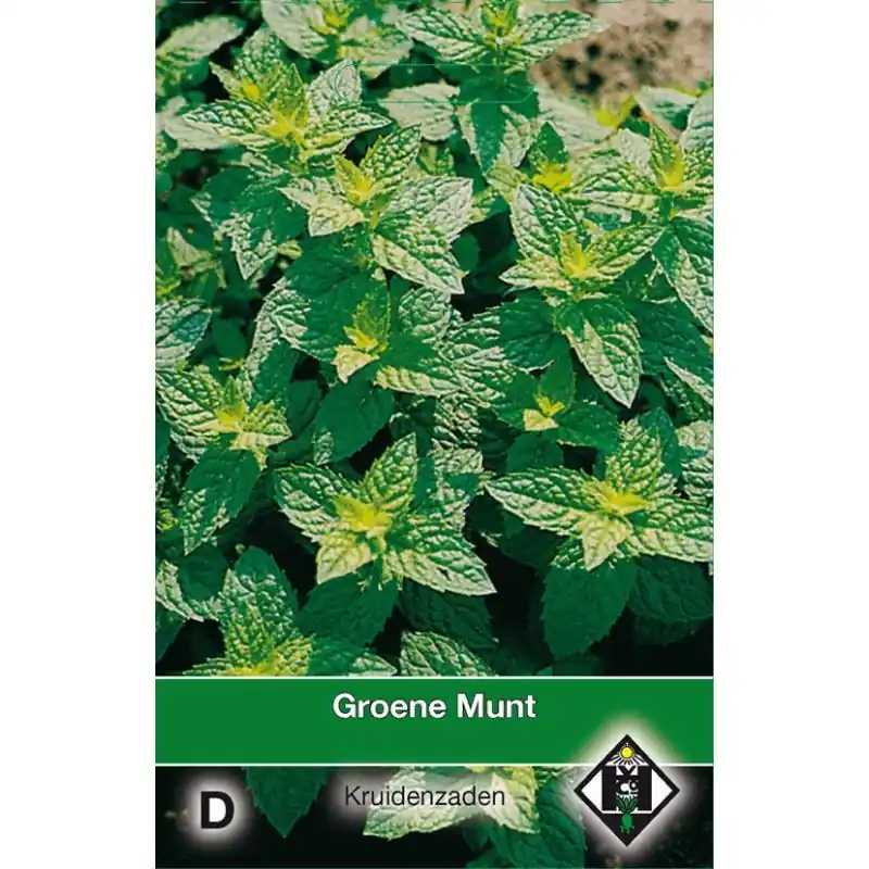 Populair bij klanten | Groene Munt / Mentha spicata -zaden-