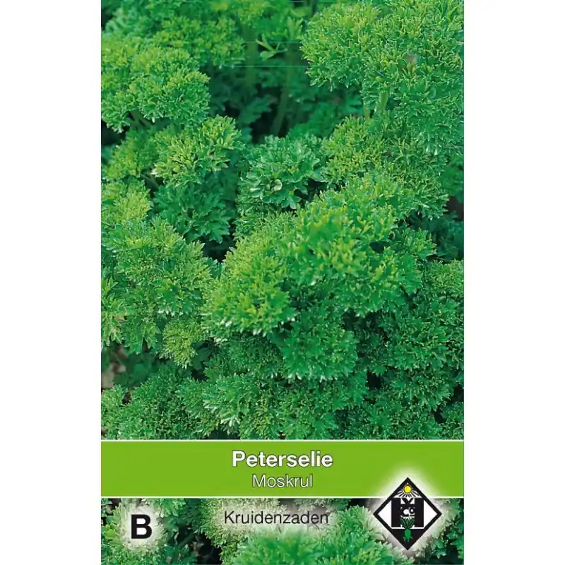 Nu beschikbaar - Peterselie Moskrul / Peterselinum crispum ‘Moskrul‘ -zaden-