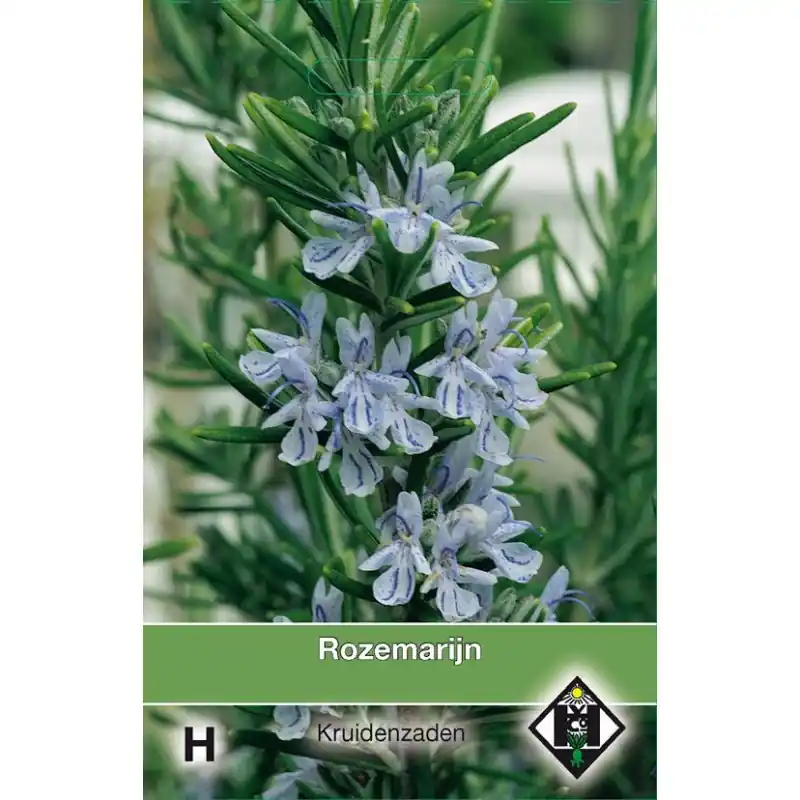 Rozemarijn / Rosmarinus officinalis -zaden- | Nog maar enkele beschikbaar