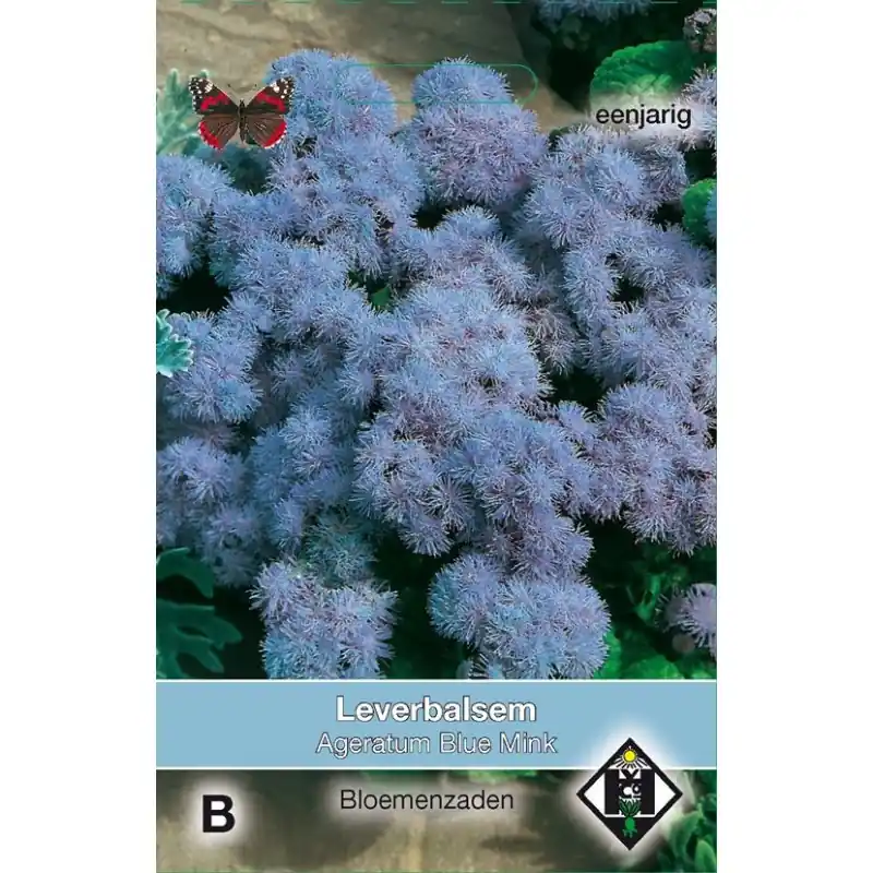 Premiumkwaliteit - Ageratum mexicanum ‘Blue Mink‘ -zaden-