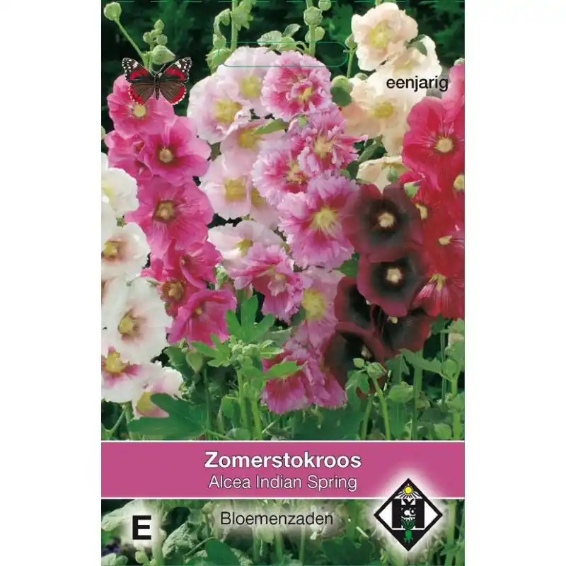 Online bestelbaar | Alcea rosea annua ‘Indian Spring‘ -zaden-
