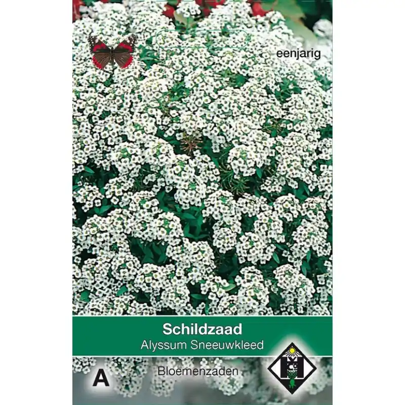 Alyssum maritimum ‘Sneeuwkleed‘ -zaden- - Veel voordeel
