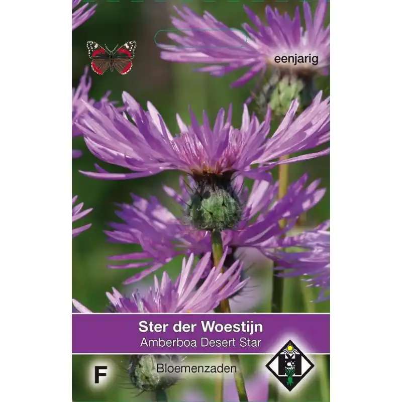 Aanbieding | Amberboa muricata ‘Desert Star‘ -zaden-