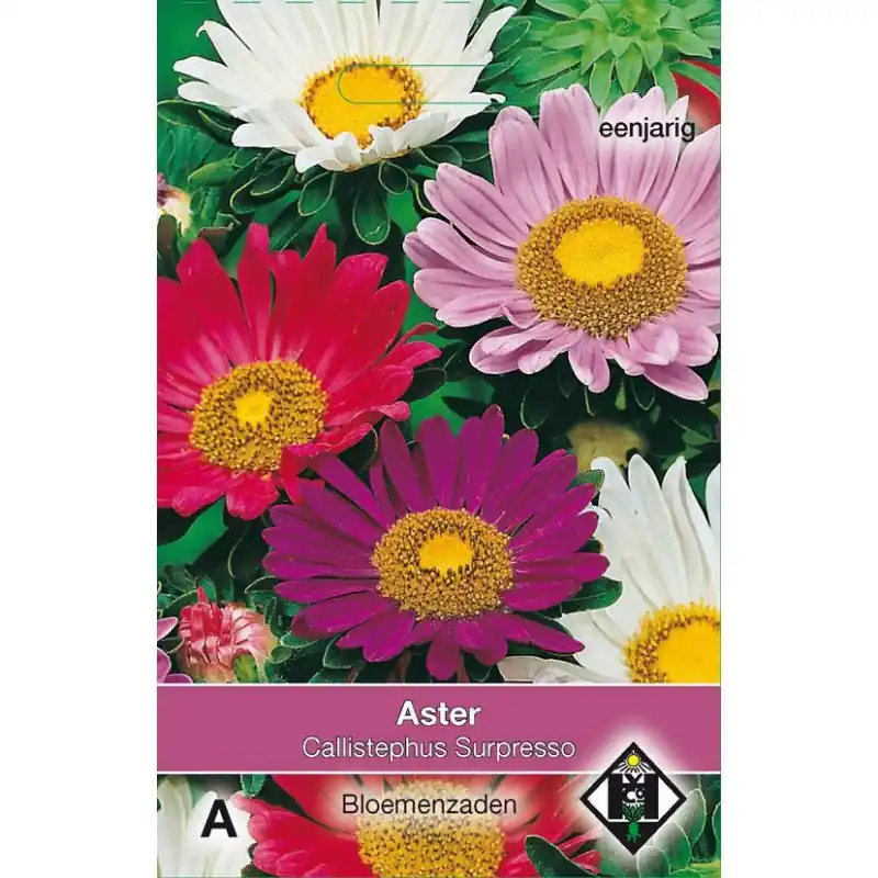Aster chinensis ‘Surpresso‘ -zaden- - Extra voordeel