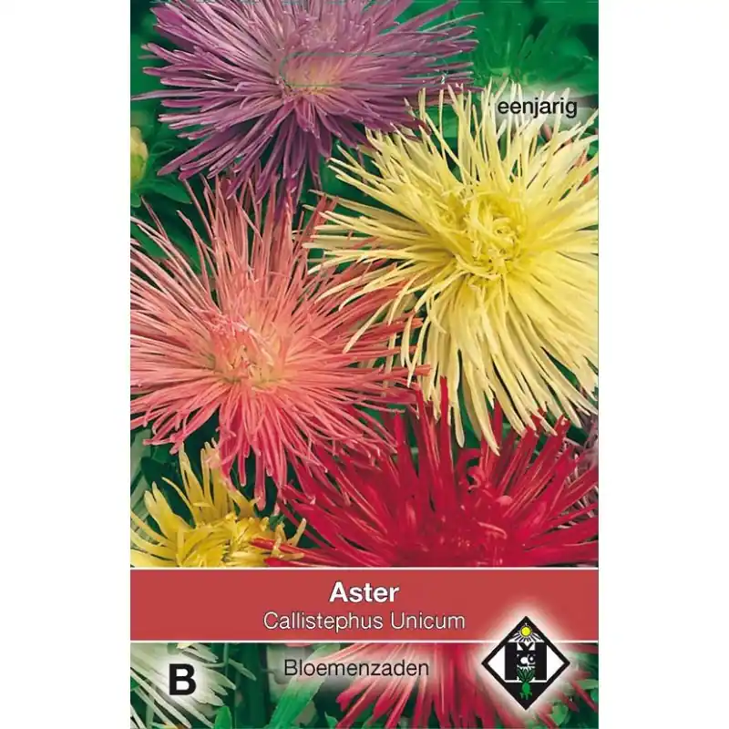 Aster chinensis ‘Unicum‘ -zaden- | Online bestelbaar