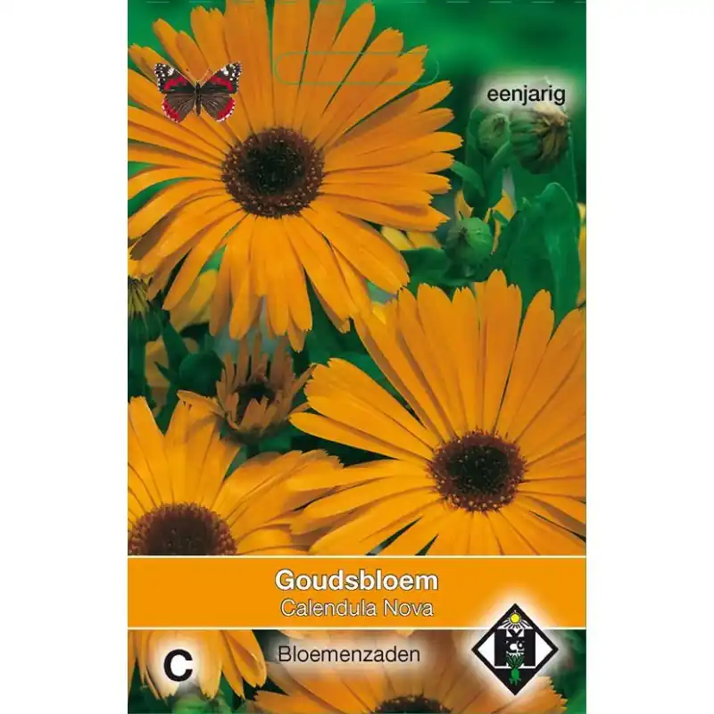 Vanaf nu beschikbaar | Calendula officinalis ‘Nova‘ -zaden-