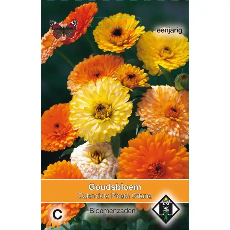 Calendula officinalis ‘Fiesta Gitana‘ -zaden- - Trending