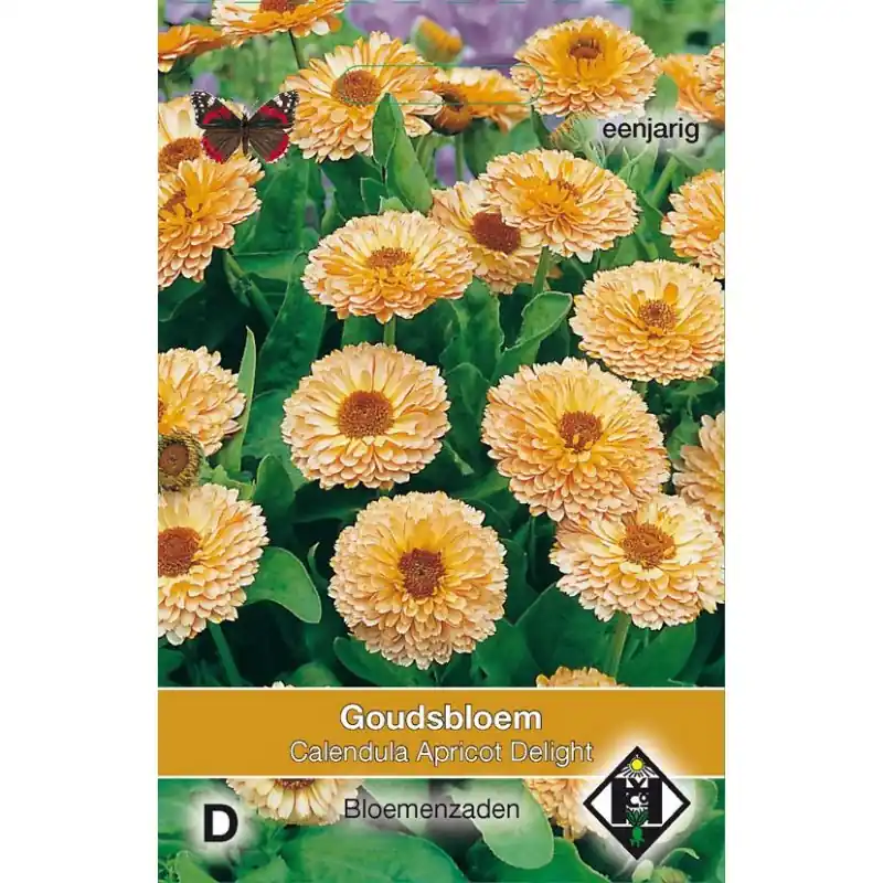 Calendula officinalis ‘Apricot Delight‘ -zaden- - Populair bij klanten