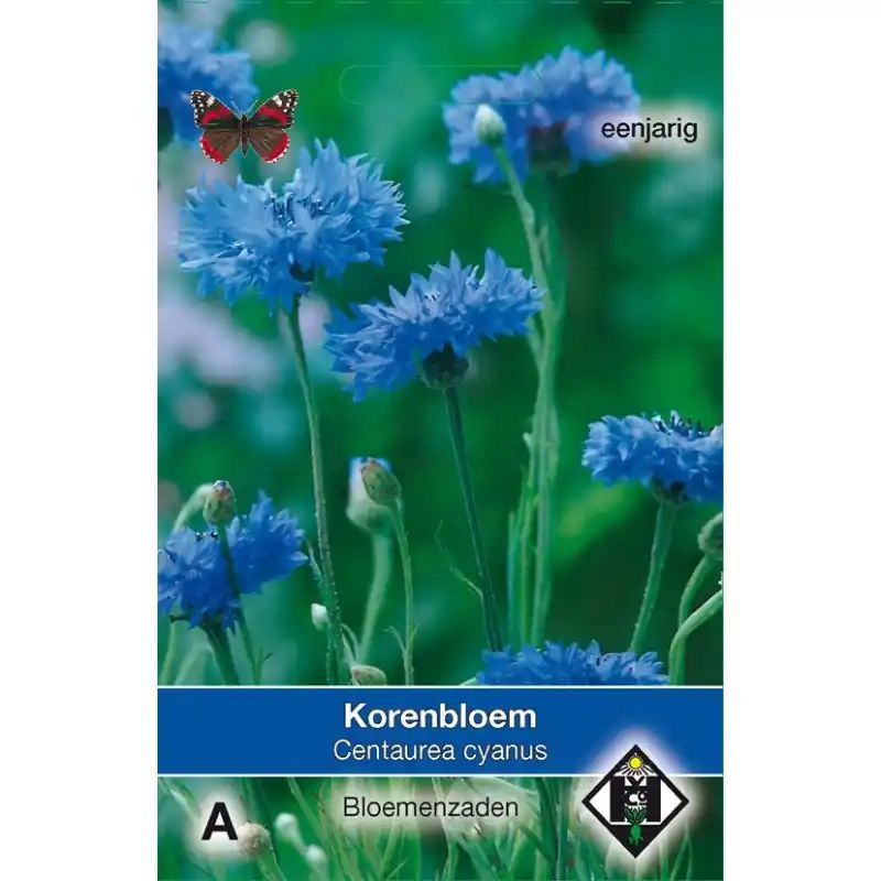 Centaurea cyanus enkele blauw -zaden- - Net binnen
