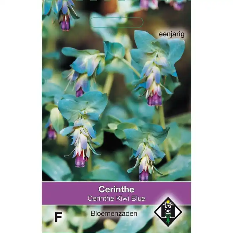Cerinthe major purpurescens ‘Kiwi Blue‘ -zaden- | Eenvoudig retourneren
