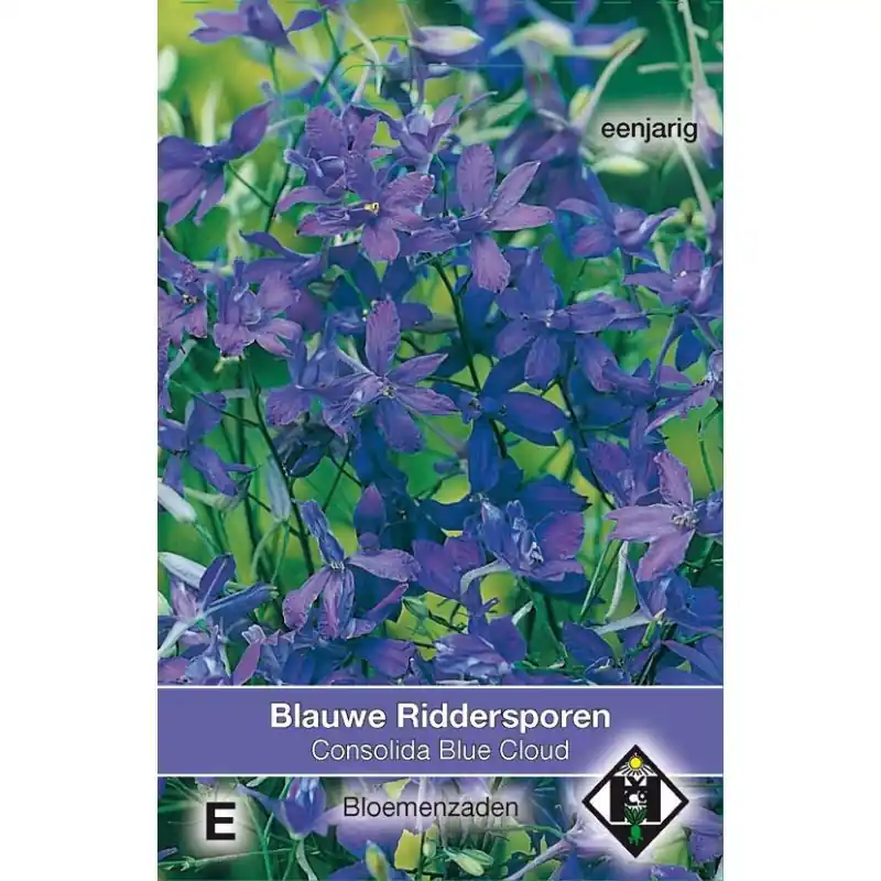 Consolida regalis ‘Blue Cloud‘ -zaden- | Direct leverbaar