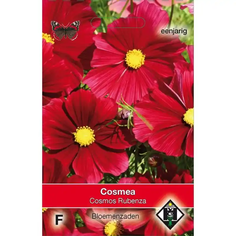 Vanaf nu beschikbaar | Cosmos bipinnatus ‘Rubenza‘ -zaden-