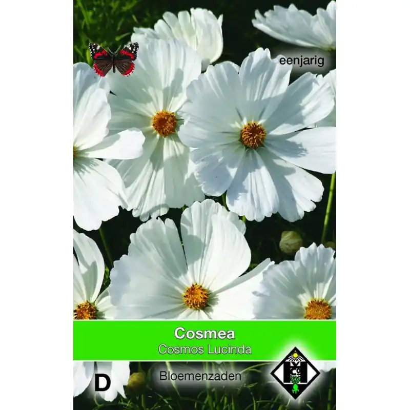 Cosmos bipinnatus ‘Lucinda‘ -zaden- - Voordeelprijs