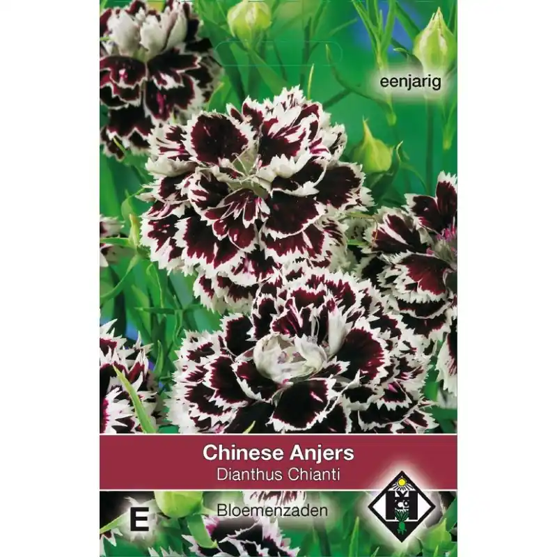 Tijdelijke aanbieding | Dianthus chinensis ‘Chianti‘ -zaden-