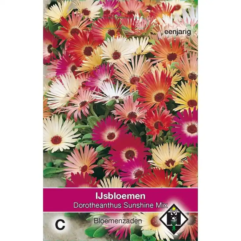 Dorotheanthus bellidiformis ‘Sunshine Mix‘ -zaden- | Klaar voor verzending