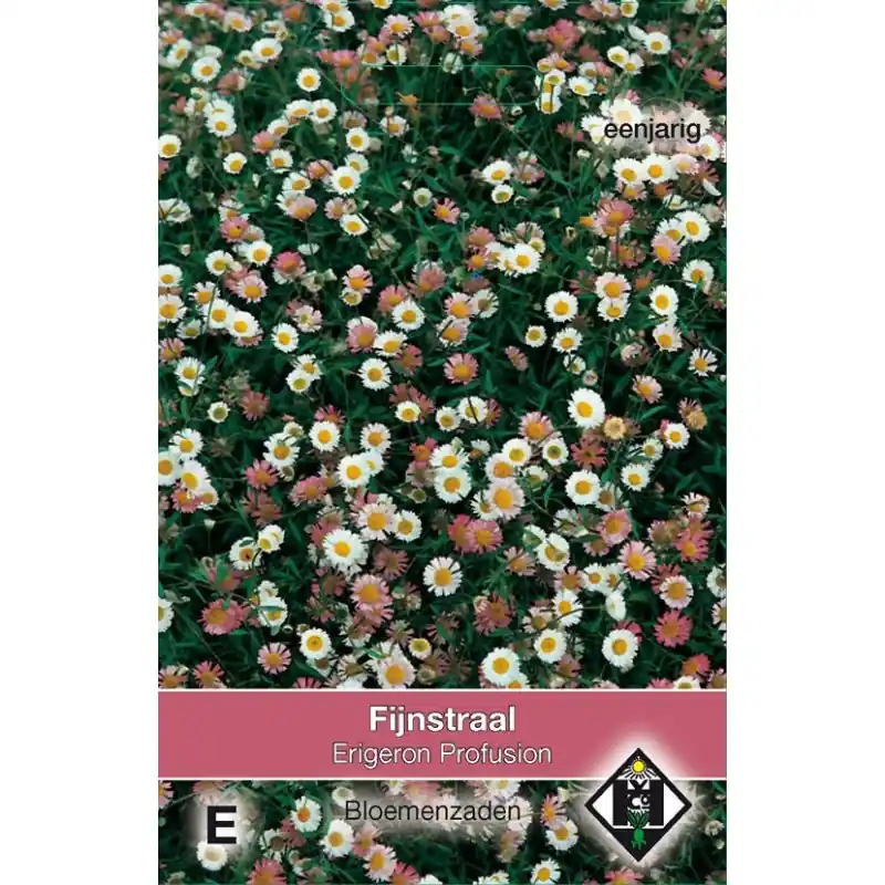Erigeron karvinskianus ‘Profusion‘ -zaden- - Nieuw gelanceerd