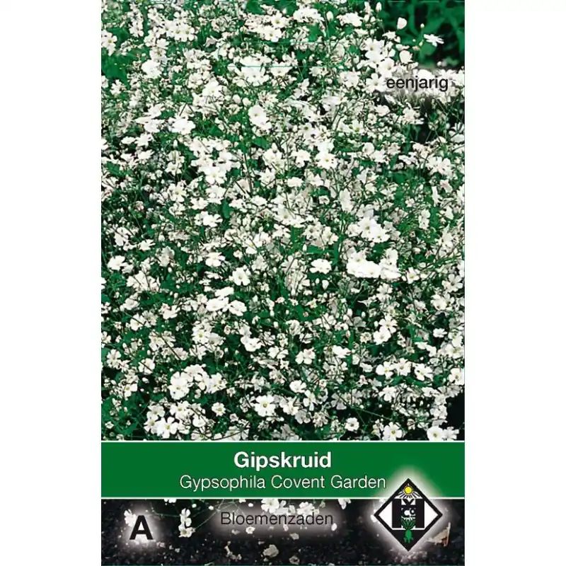 Gypsophila elegans ‘Convent Garden‘ -zaden- | Tijdelijke actie