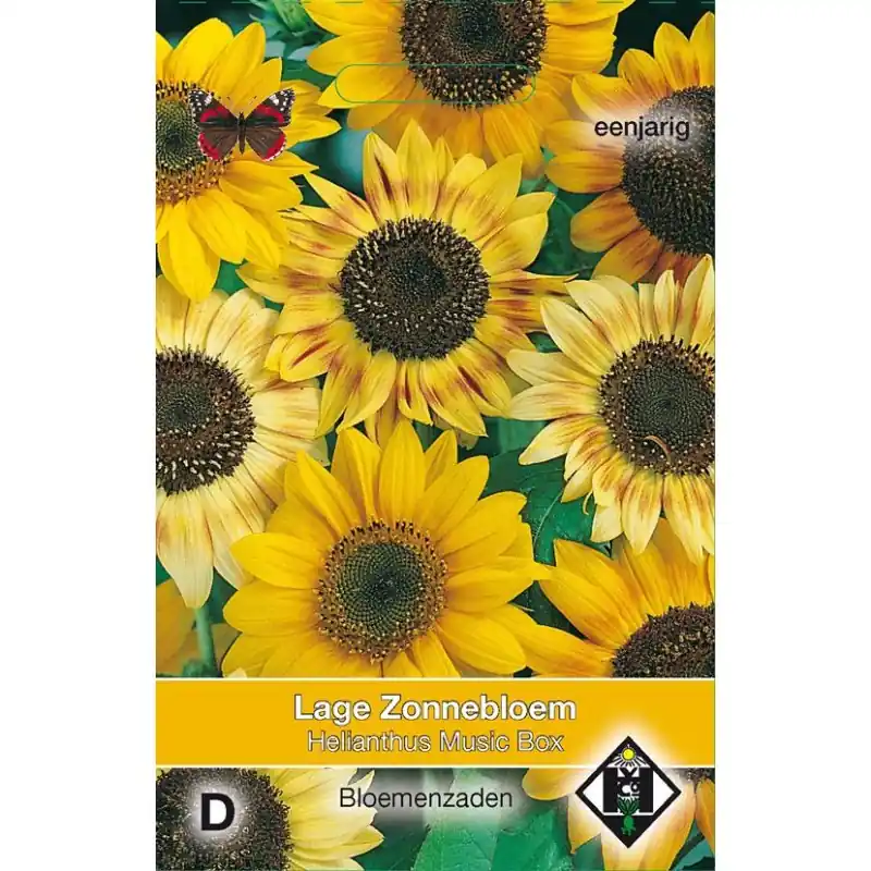 Helianthus annuus ‘Music Box‘ -zaden- - Bespaar meer