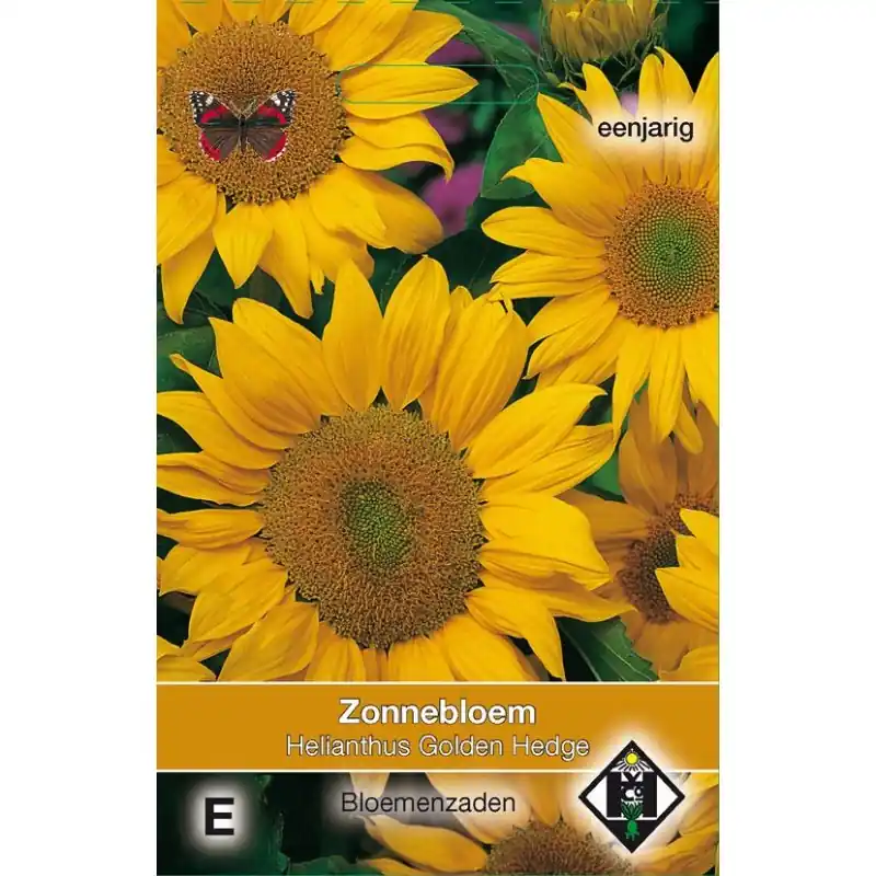 Helianthus annuus ‘Golden Hedge‘ -zaden- | Koopje
