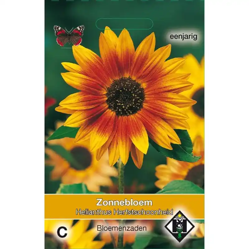 Fabrieksprijs - Helianthus annuus ‘Herfstschoonheid‘ -zaden-