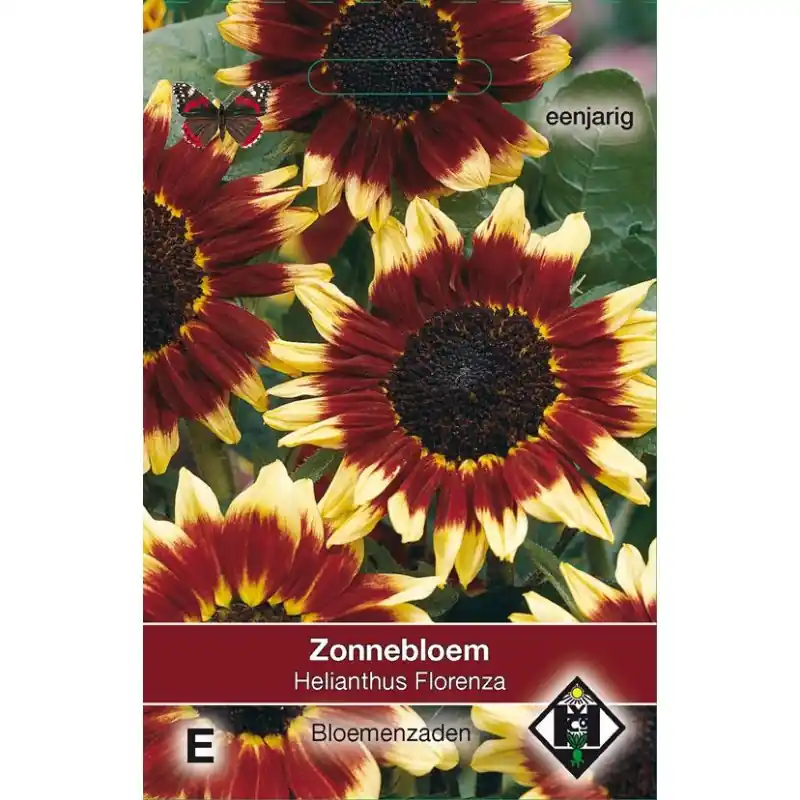 Helianthus annuus ‘Florenza‘ -zaden- | Shop nu