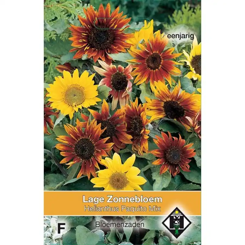 Bestelbaar | Helianthus annuus ‘Topolino‘ -zaden-