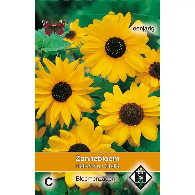 Helianthus cucumerifolius ‘Stella‘ -zaden- - Bespaar nu