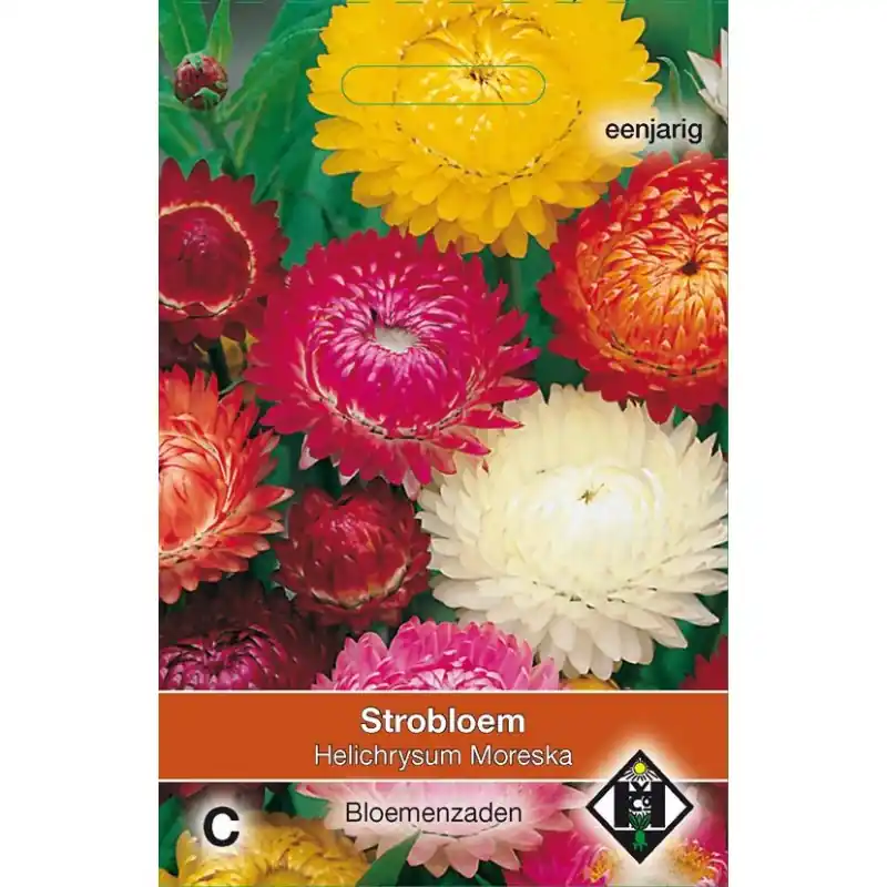 Helichrysum bracteatum ‘Moreska‘ -zaden- - Scherp geprijsd