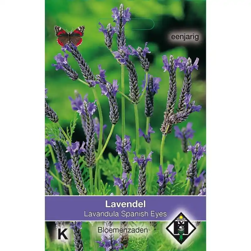 Net binnen - Lavandula multifida ‘Spanish Eyes‘ -zaden-