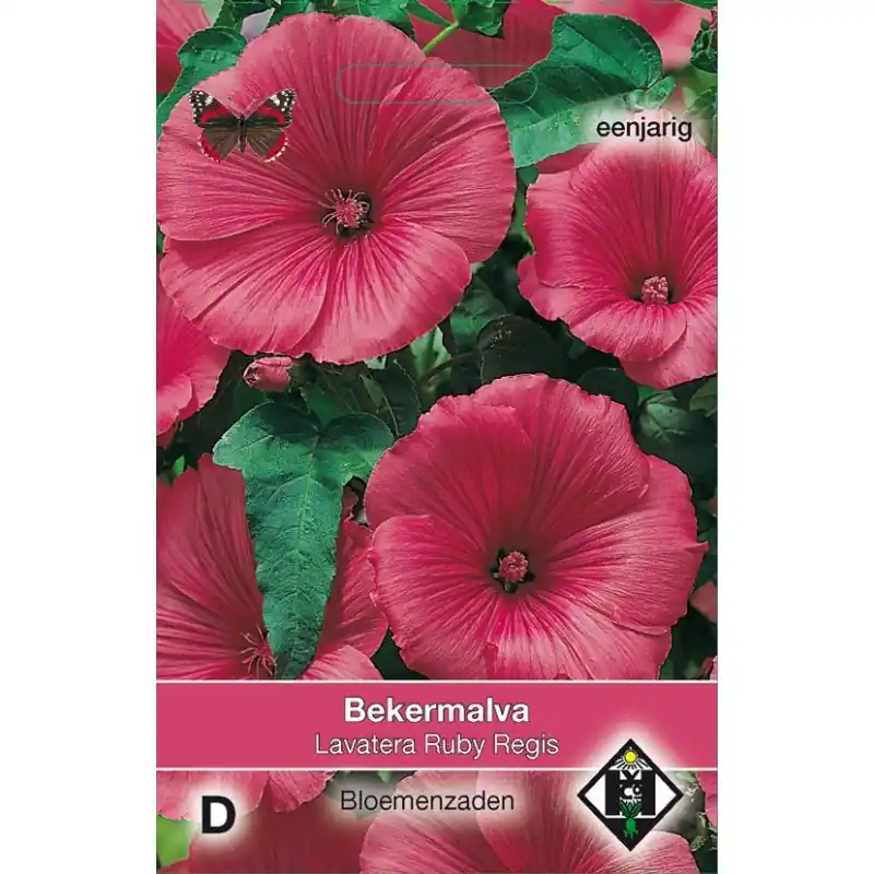Lavatera trimestris ‘Ruby Regis‘ -zaden- | Rechtstreeks uit de fabriek