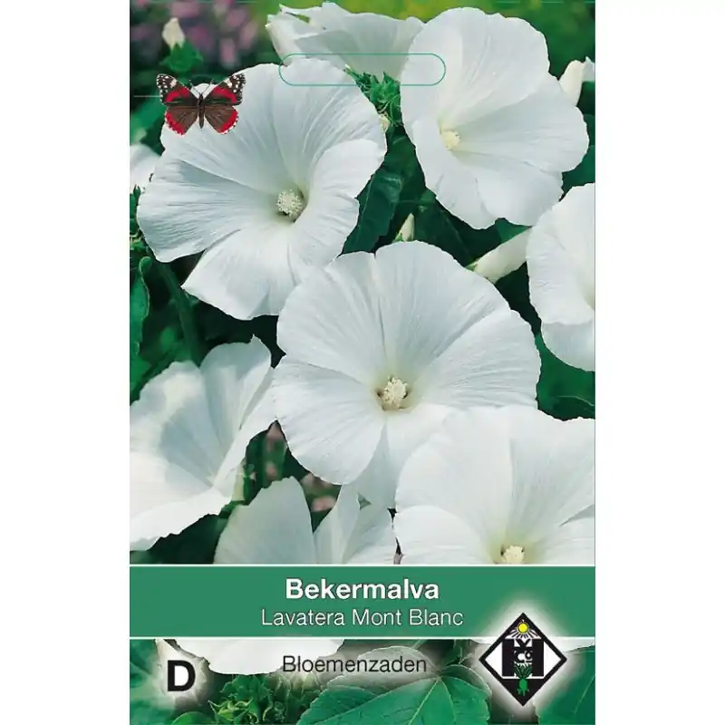 Lavatera trimestris ‘Mont Blanc‘ -zaden- | Premium