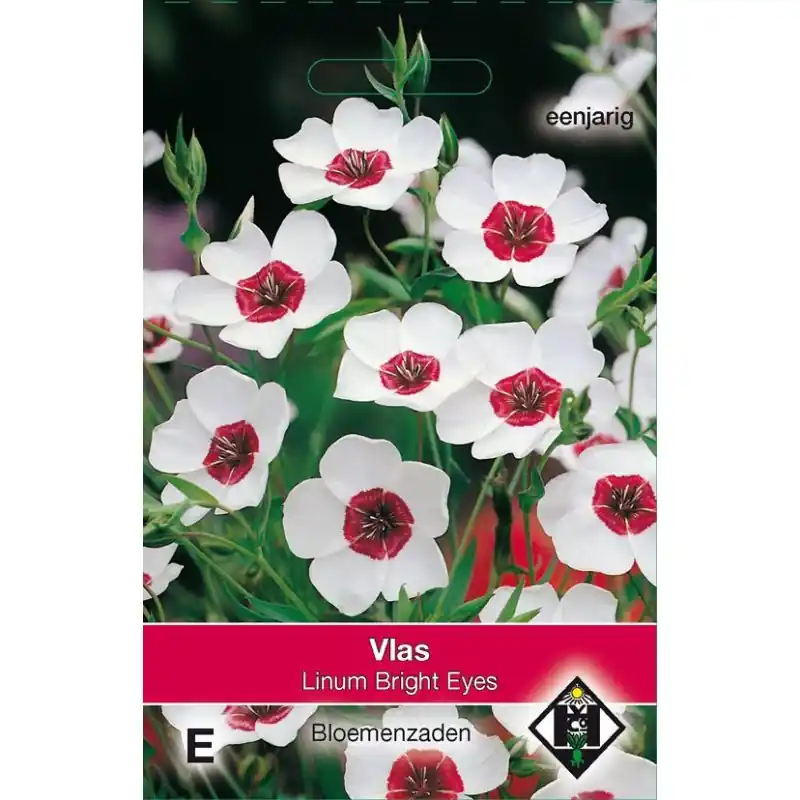 Snelle levering | Linum grandiflorum ‘Bright Eyes‘ -zaden-