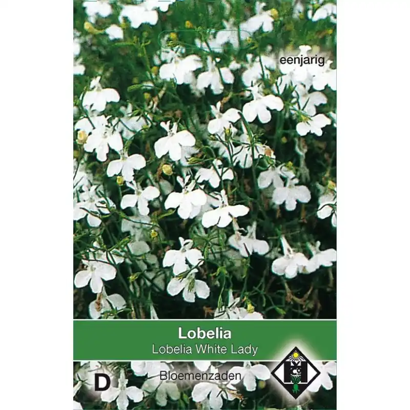 Lobelia erinus ‘White Lady‘ -zaden- - Online bestellen