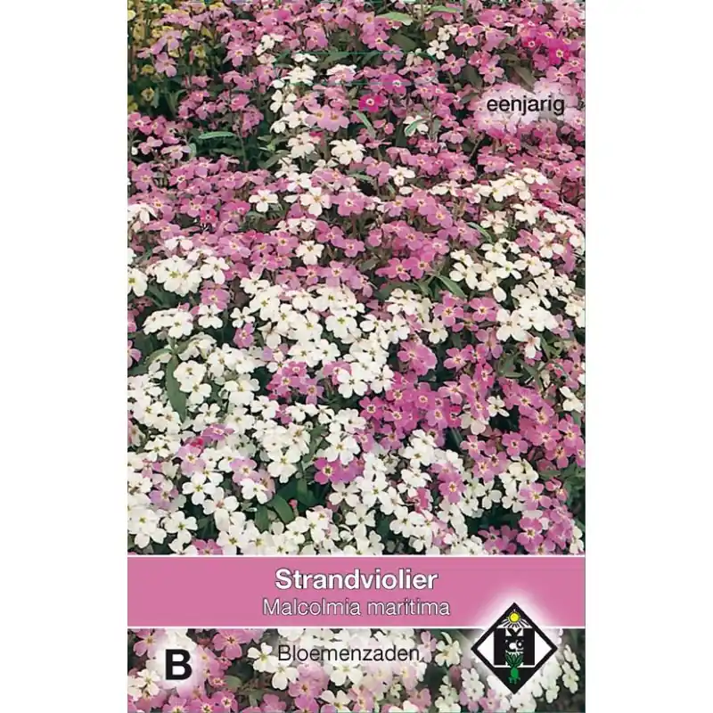 Tijdelijk aanbod - Malcolmia maritima -zaden-