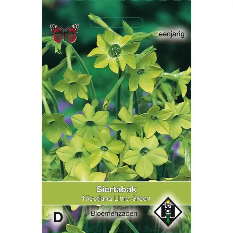 Nicotiana alata ‘Lime Green‘ -zaden- - Fabrieksprijs