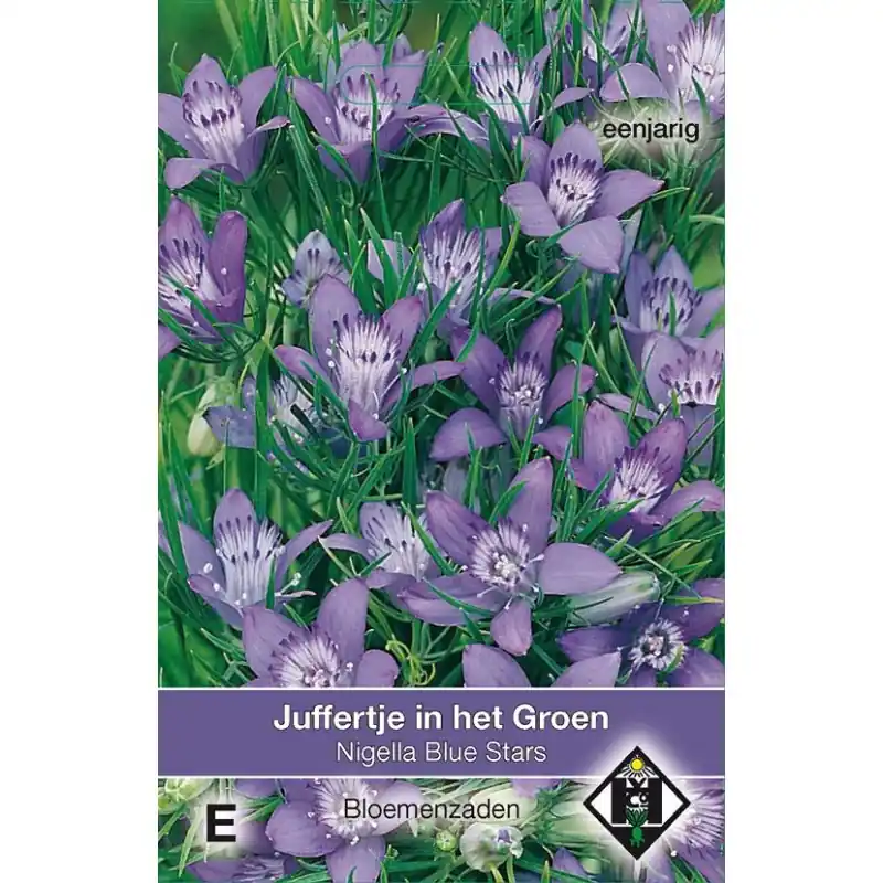 Bestseller - Nigella garidella ‘Blue Stars‘ -zaden-