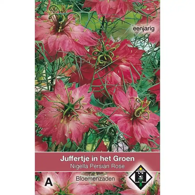 Nieuwe release | Nigella damascena ‘Persian Rose‘ -zaden-