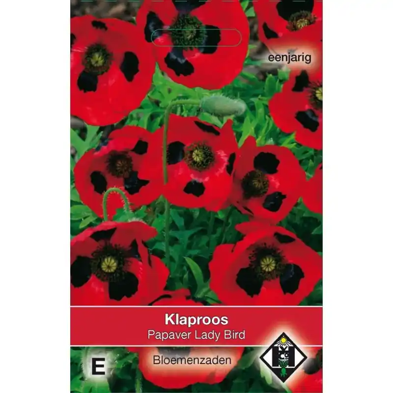 Papaver commutatum ‘Lady Bird‘ -zaden- | Koopje
