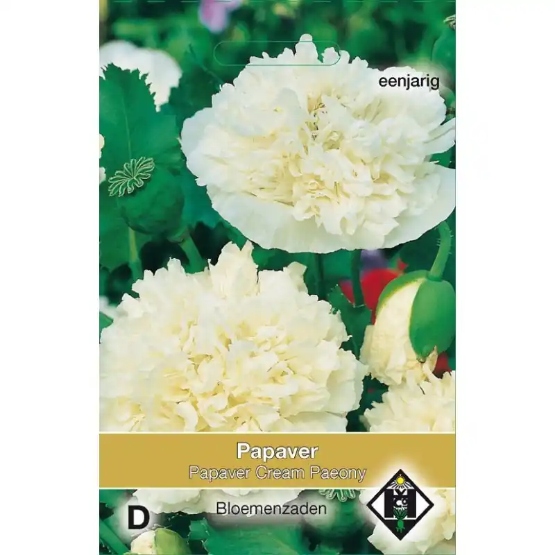 Papaver paeoniflorum ‘Cream Paeony‘ -zaden- - Online bestellen