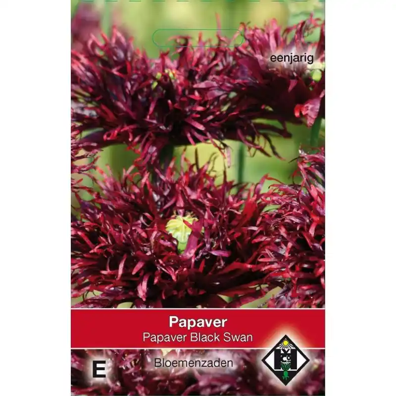 Papaver somniferum ‘Black Swan‘ -zaden- | Favoriet van klanten