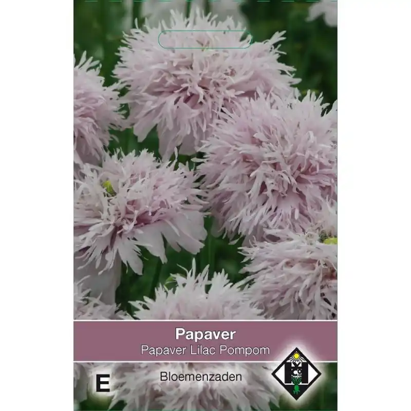 Papaver somniferum ‘Lilac Pompom‘ -zaden- - Bestel vandaag