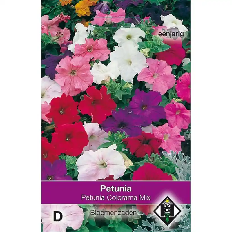 Dagdeal - Petunia nana compacta ‘Colorama Mix‘ -zaden-